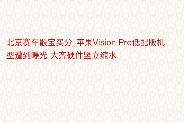 北京赛车骰宝买分_苹果Vision Pro低配版机型遭到曝光 大齐硬件竖立缩水