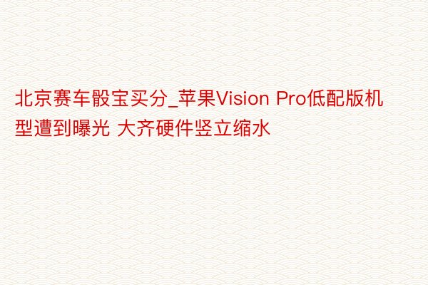 北京赛车骰宝买分_苹果Vision Pro低配版机型遭到曝光 大齐硬件竖立缩水